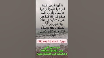سورة النساء آية رقم (59) #سعد_الغامدي