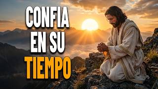 Don't Worry, God's Plan is Perfect | Christian Reflection