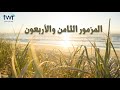 المزمور ٤٨