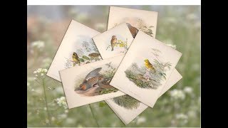 Lost Soundscapes: English Meadow 1901 (Narrated Version)