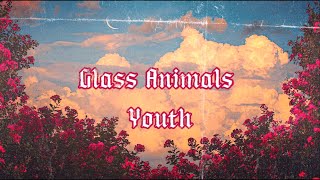 Youth ~ Glass Animals { sub español }