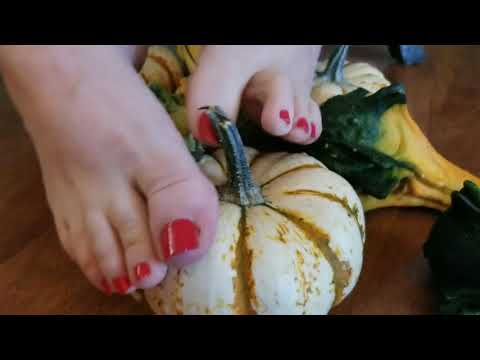 Autumnal Gourd Appreciation