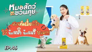 ตัดเล็บยังไงให้น้องหมาน้องแมวยอม | หมอสัตว์ชวนคุย EP46 by OSDCO Official 69 views 2 weeks ago 5 minutes, 38 seconds