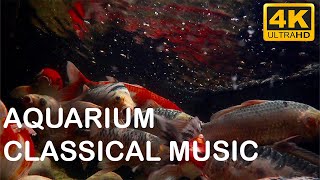 4k Aquarium Screensaver With Carp &amp; Tchaikovsky&#39;s Waltz Of The Flowers