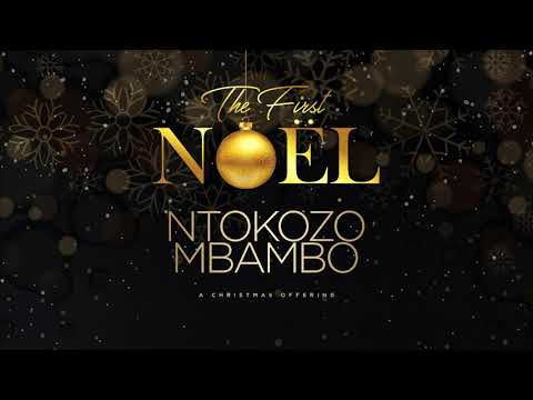 Ntokozo Mbambo - It Is Amazing (Official Audio)