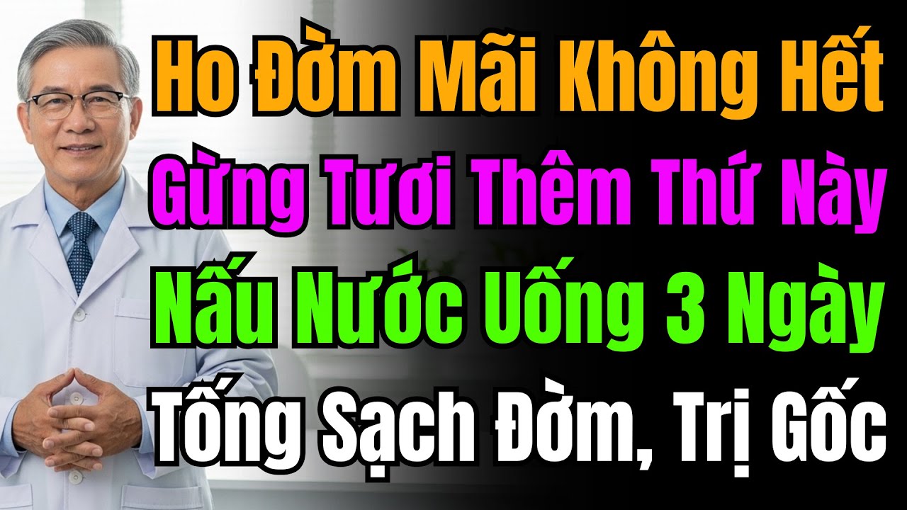 Gốc Rễ Của Đờm Là Do Tỳ Hư. Muốn Hết Đờm Phải Điều Trị Từ Tỳ, Không Chỉ Tập Trung Vào Phổi.