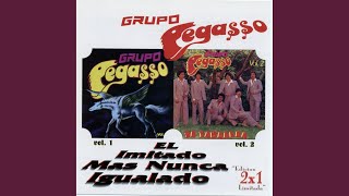 Video thumbnail of "Grupo Pegasso - 15 una copita mas"