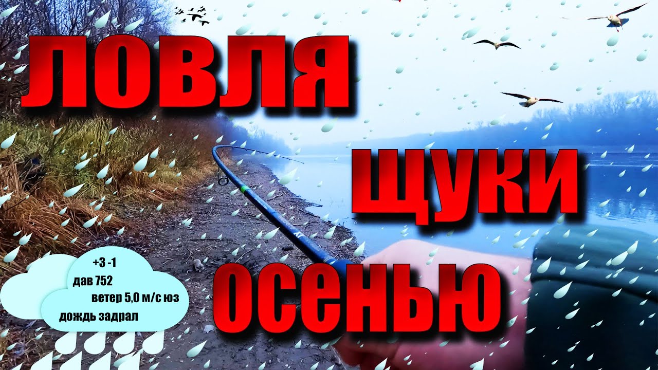 №52 Щука осенью с берега ️ Рыбалка спиннинг щука воблер ️ Щука в ноябре ...