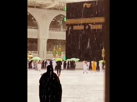 أنت مسؤول فقط عن السعي ليس النتيجة فالنتيجة اختص بها رب الخير ورب الخير لا يأتي إلا بالخير