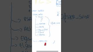 ¿Qué contiene el cipher_suite en el protocolo TLS? #ErgoHackers #Guatemala #shorts