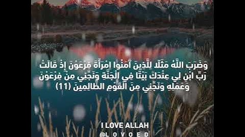 سورة التحريم ياسر الدوسري من الايه 9 الي 12 - ياسر الدوسري - سورة التحريم كامله