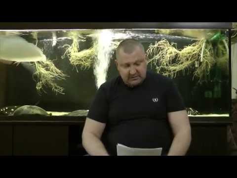 Интерактивный аквариумный туризм сезон 2 - Итоги 4/5 (Андрей Борисов)