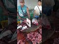 Baby tuna cutting show