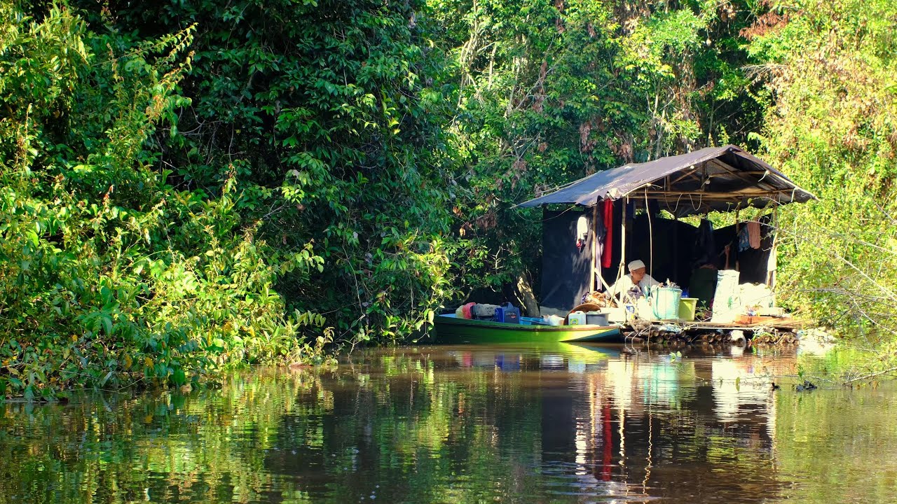 2 HARI 2 MALAM DI HUTAN RAWA, BERBURU IKAN DI PERANGKAP AIR DALAM DAN BAUNG MONSTER DI DANAU LUAS..