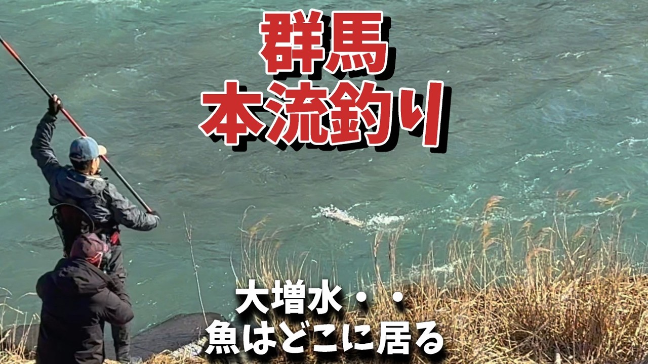 [本流釣り】増水すると魚はどこに居る？