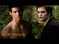 Edward & Jacob Have An Alpha Stand Off Over Bella | Twilight Saga: New Moon | Robert Pattinson
