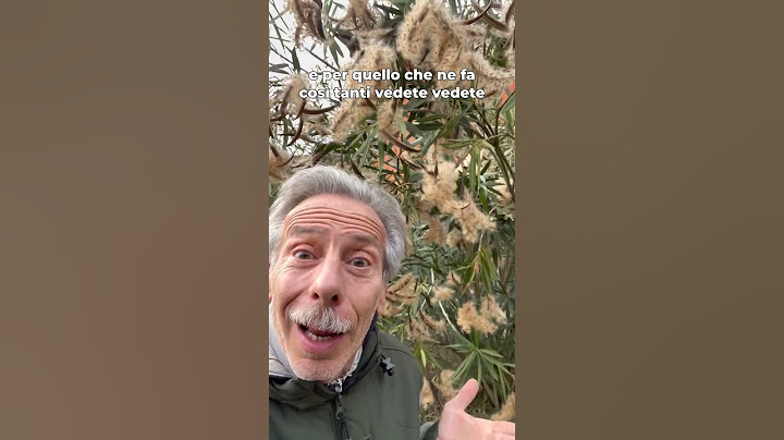 Se ci fosse! 🌬🌱