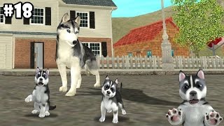 Dog Sim Online  Siberian Husky  Android / iOS  Gameplay part 18