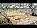 How to Make Terraced Raised Beds for Vegetable Gardening - E.1