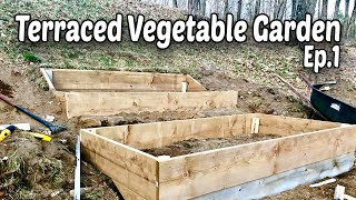 How to Make Terraced Raised Beds for Vegetable Gardening  E.1