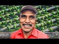He Feeds 6,000 Birds Every Day