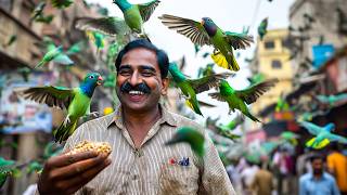 He Feeds 6,000 Birds Every Day On His Rooftop