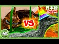 恐竜VSネコ | ティラノサウルス牧場 | 恐竜番組 | 子供向け | T-Rex Ranch
