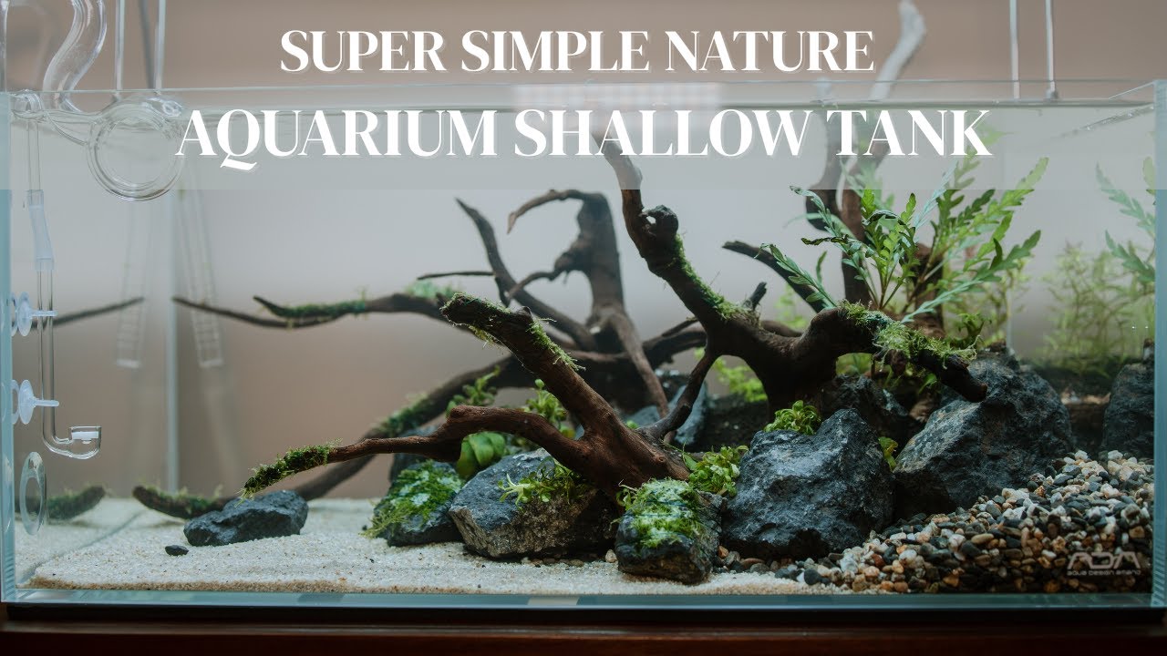 Making A 45cm Shallow Tank From Start To Finish