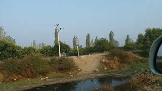 Sonbaharın Gelişi, Ben Zaten Aramam.