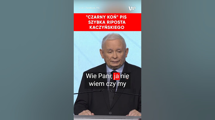 Czarny lub biały "koń PiS". Kaczyński nie ustalił kandydata do wyborów prezydenckich