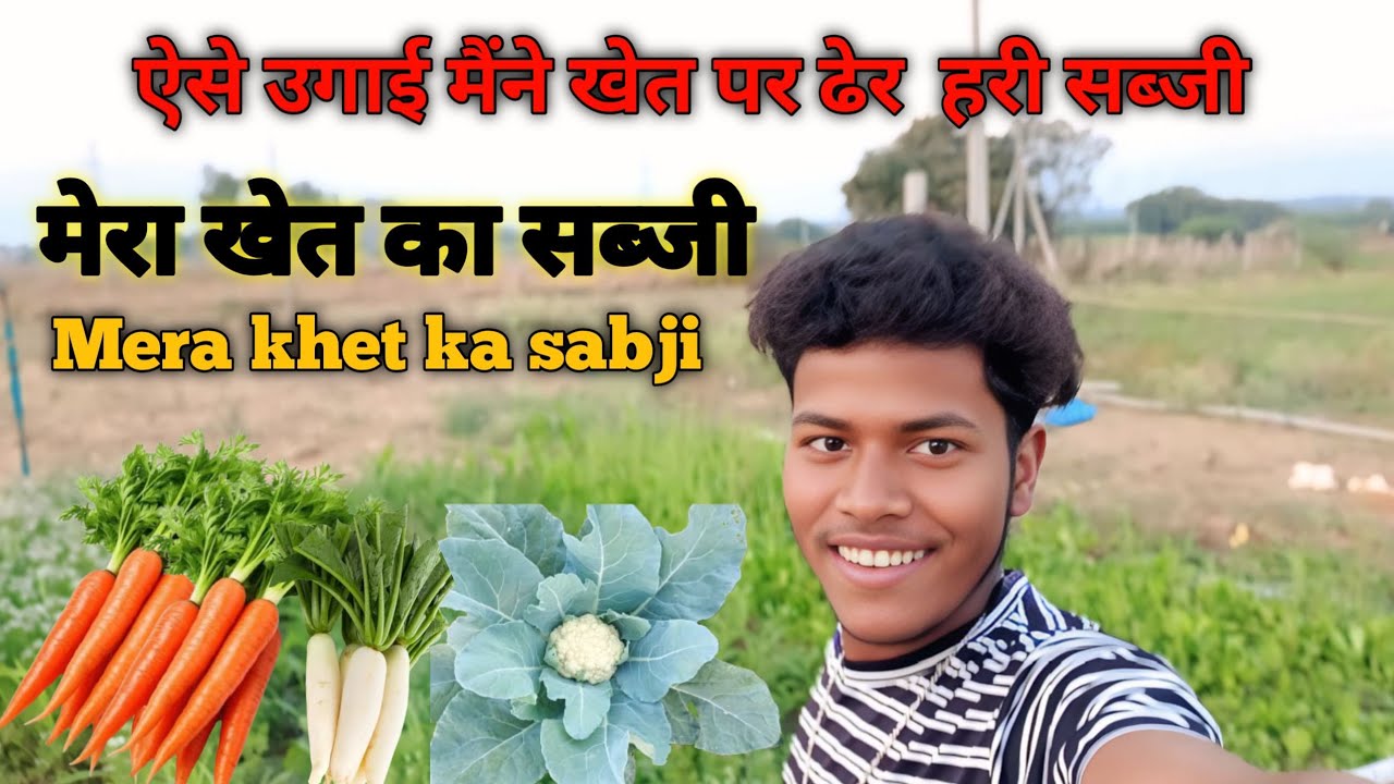 ऐसे उगाई मैंने खेत पर ढेर हरी सब्जी 🍅🥕 Mera khet ka sabji  