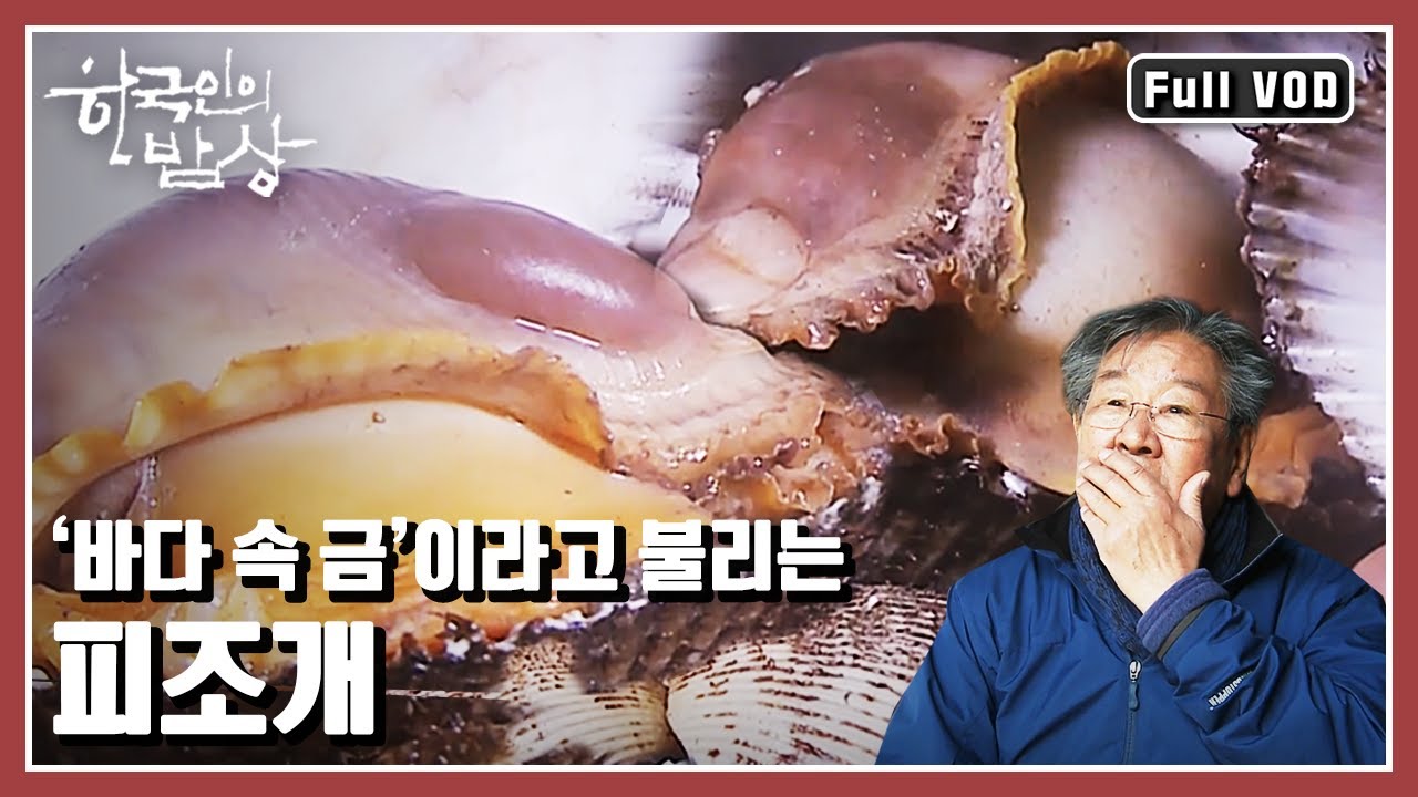 [한국인의밥상★풀버전] 봄 향기 가득 안고 온 진해만의 🦪조개밥상을 만나본다. “봄 조개 뭍에 오르다, 진해만 조개밥상” (KBS 20160303 방송)