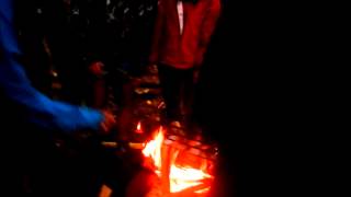 Dos harlem shake