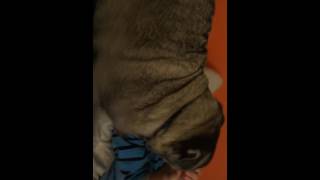 Trim 60Dbf4B3 Cd56 480F 9Ddf 56D34950C3D1