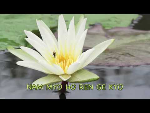 NAM MYOHO RENGE KYO | 30 DAYS of CHANTS S2 - DAY8 | Mantra Meditation Music by Meditation Mind