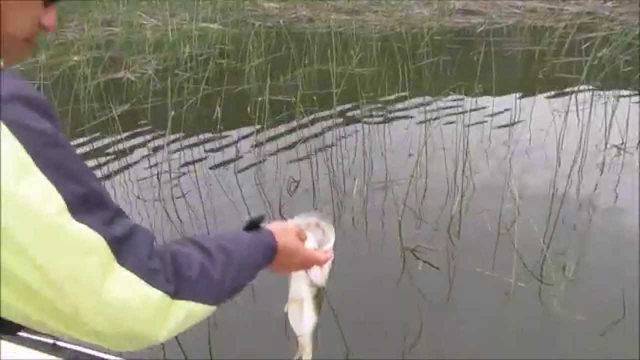 BASS FISHING - BANKS LAKE