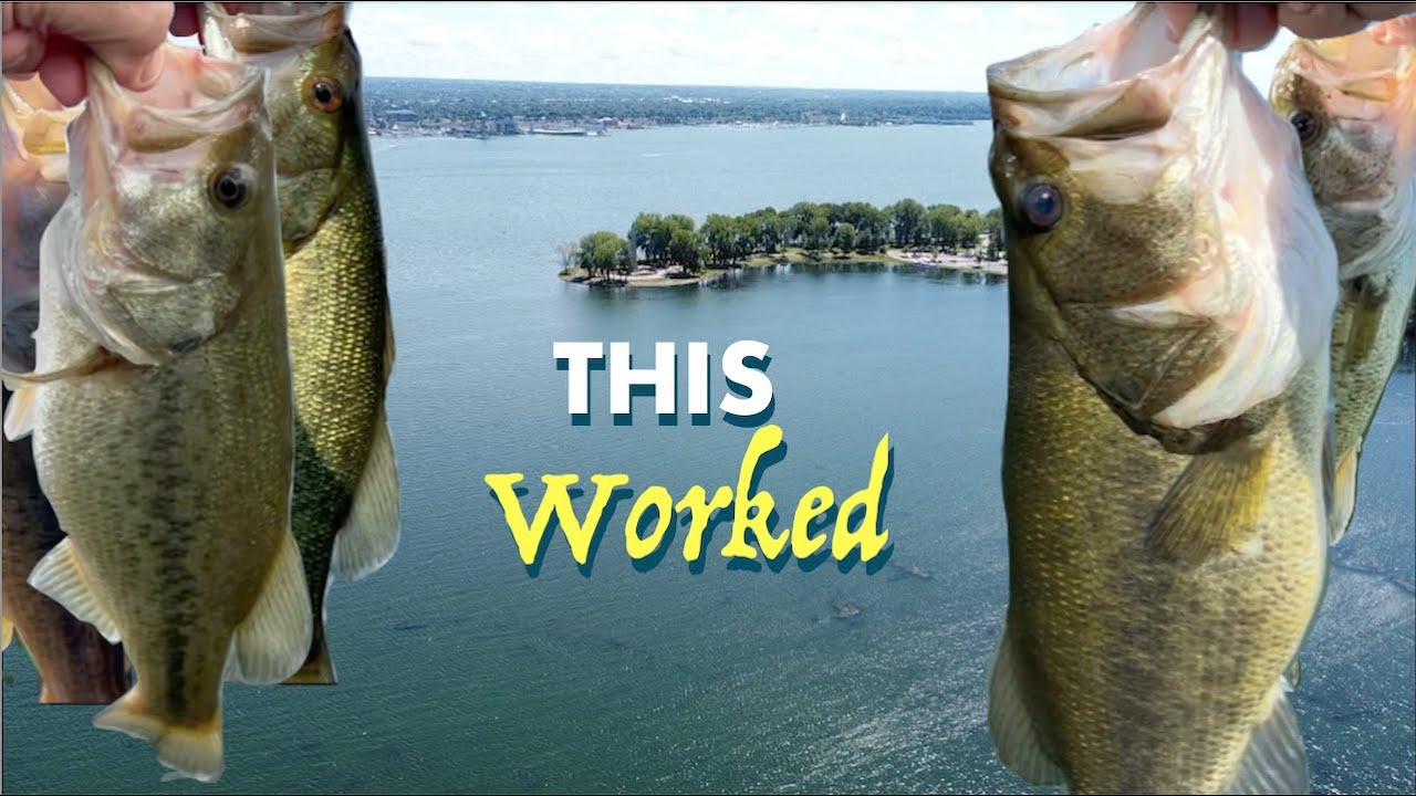 Fish on 4+ Baits – Presque Isle, PA – August HOT, HOT, HOT