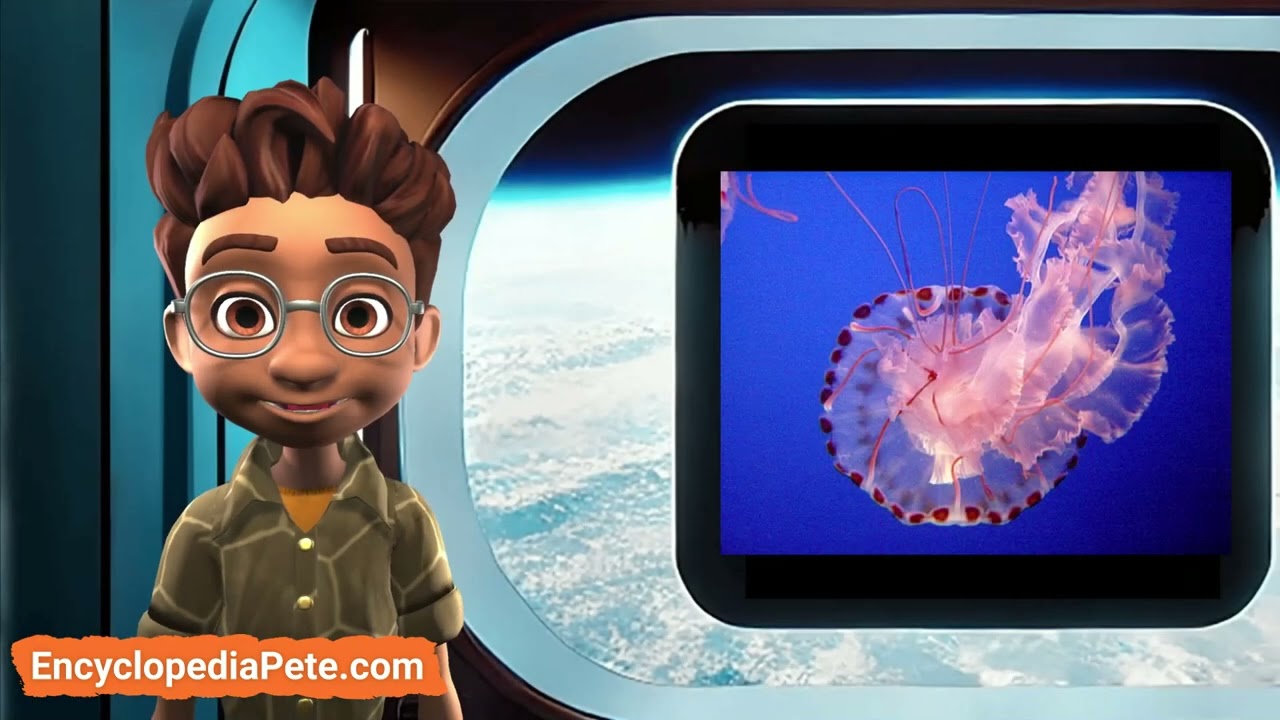 Encyclopedia Pete -  Gamified Learning and Communication Skills Development