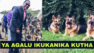 Download Lagu YOKUBA AGALU YACHEMA MP3