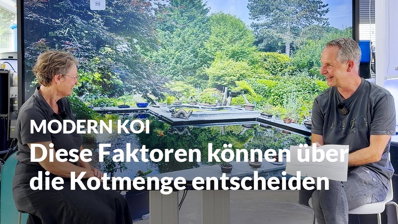 Wenn Konishi No. 1 plötzlich doch viel Kot macht | Modern Koi Blog #7476