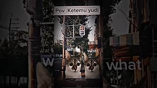 10k subs gw bakal face cam #cat #parody #comedy #memes #mecing