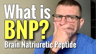 What Is Bnp? Brain Natriuretic Peptide Defining The Terms