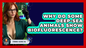Why Do Some Deep-sea Animals Show Biofluorescence? - Strange Science HQ