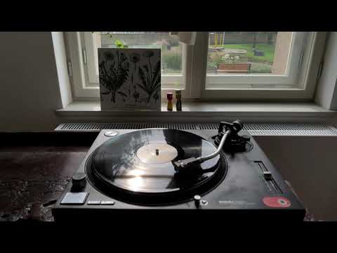 Walter Maioli — Walter Maioli & Agostino Nirodh Fortini – Taraxacum (2001) / side B