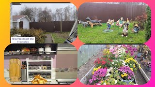 видео: 31-10-25,, Жизнь на пенсии,, Хроника дня.Посадила лук на зелень.Красота теперь в теплице.🤗 картинка: 31-10-25,, Жизнь на пенсии,, Хроника дня.Посадила лук на зелень.Красота теперь в теплице.🤗