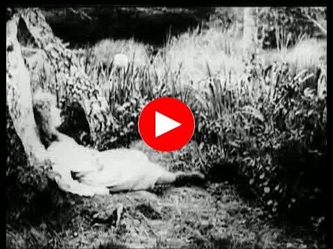 YouTube video HfblmBTQJ8E thumbnail