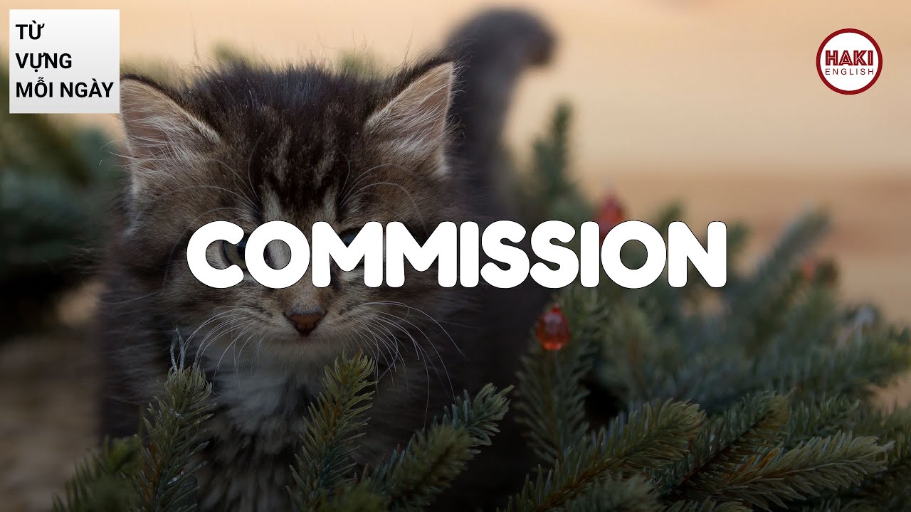 COMMISSION | Phát âm - Giải nghĩa - Ví dụ | Từ vựng tiếng Anh