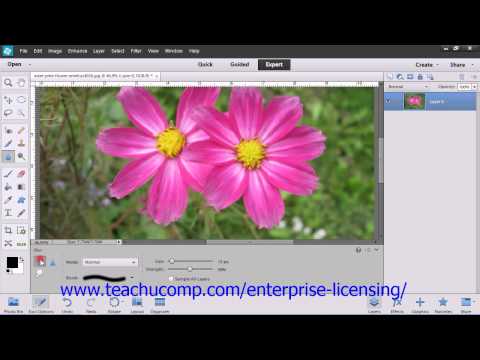 Adobe Photoshop Elements 12 Tutorial Manipulating Images Employee Group Training 13.6