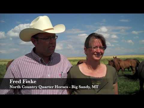 MSGA's multimedia intern Lauren Chase found out what working with family means to Fred and Linda Finke of North Country Quarter Horses in Big Sandy, Montana. They also talked about how their ranch is different from others in the state and why their goal is "to be in sync with Mother Nature." This video is brought to you by MSGA's Research, Education, and Endowment Foundation.