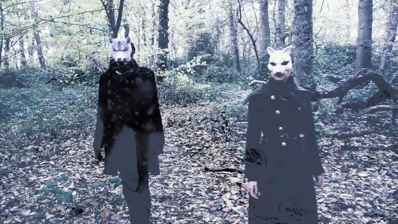 Watch Palindrones - Sakura (Single Mix) on YouTube Watch Palindrones - Sakura (Single Mix) on YouTube